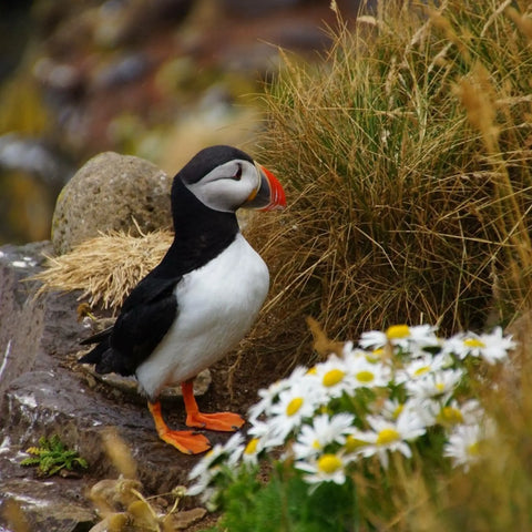 Aus den Fördergebieten