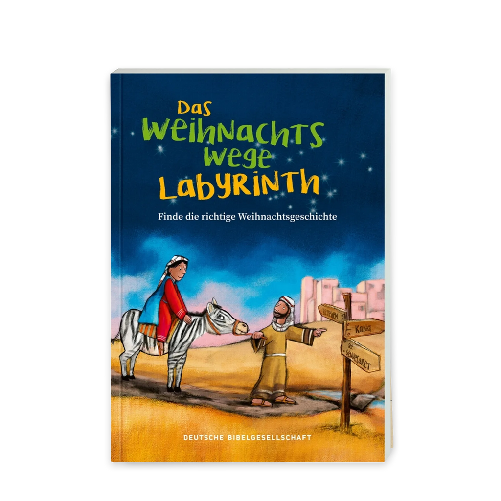 Buchcover ‚Das Weihnachts-Wege-Labyrinth – Finde die richtige Weihnachtsgeschichte‘ mit weihnachtlicher Illustration