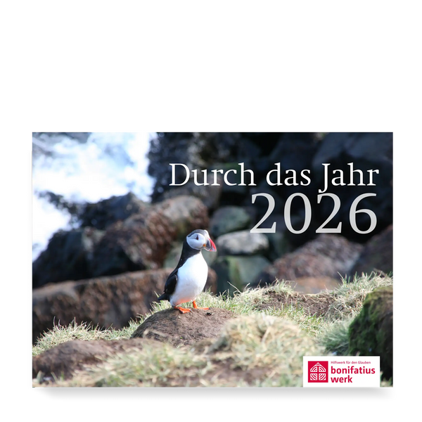 Papageientaucher, Meer, Landschaft, Felsen
