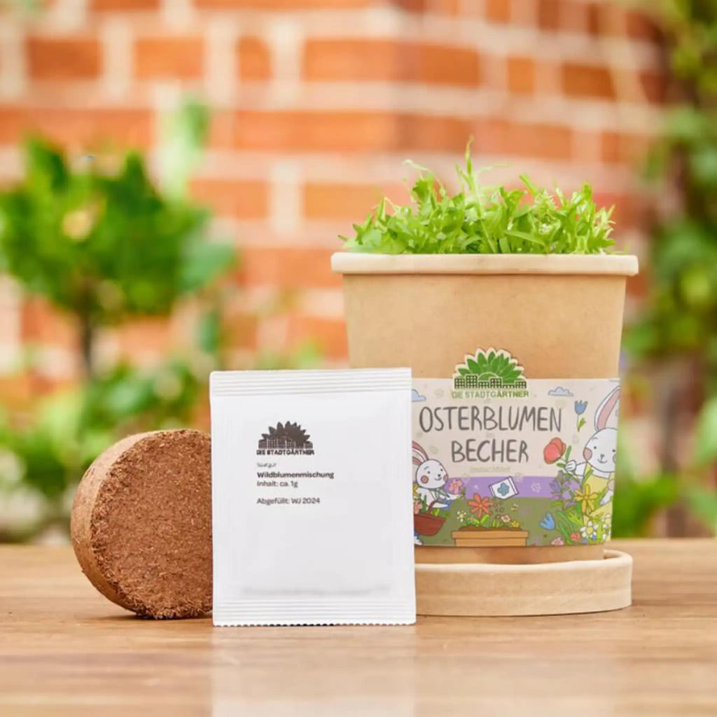 Osterblumenbecher mit Saatgut, das aus Becher wächst, Korken, Tütchen mit Saatgut, Hintergrund Gartenszene mit Steinmauer und grünen Pflanzen