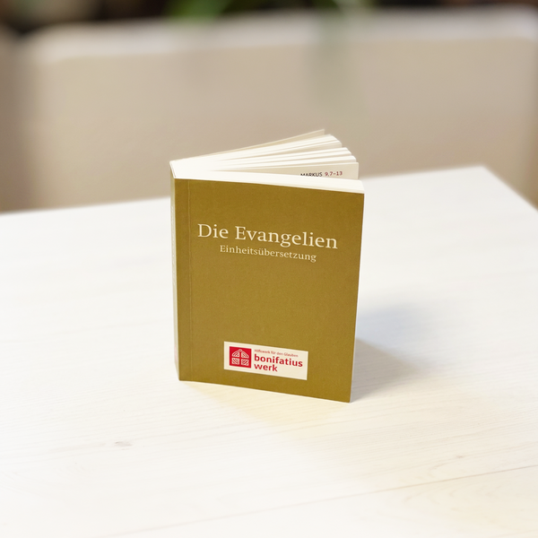 Grünes Buck im Mini-Format die Evanglien steht auf weißem Tisch
